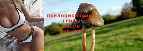 COCAINE Алзамай