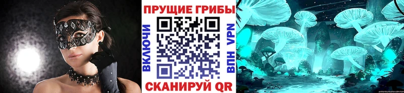 ОМГ ОМГ как зайти Лиски Галлюциногенные грибы Psilocybine cubensis