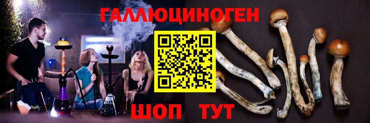 Лиски  Псилоцибиновые грибы мицелий  Вход с VPN 
